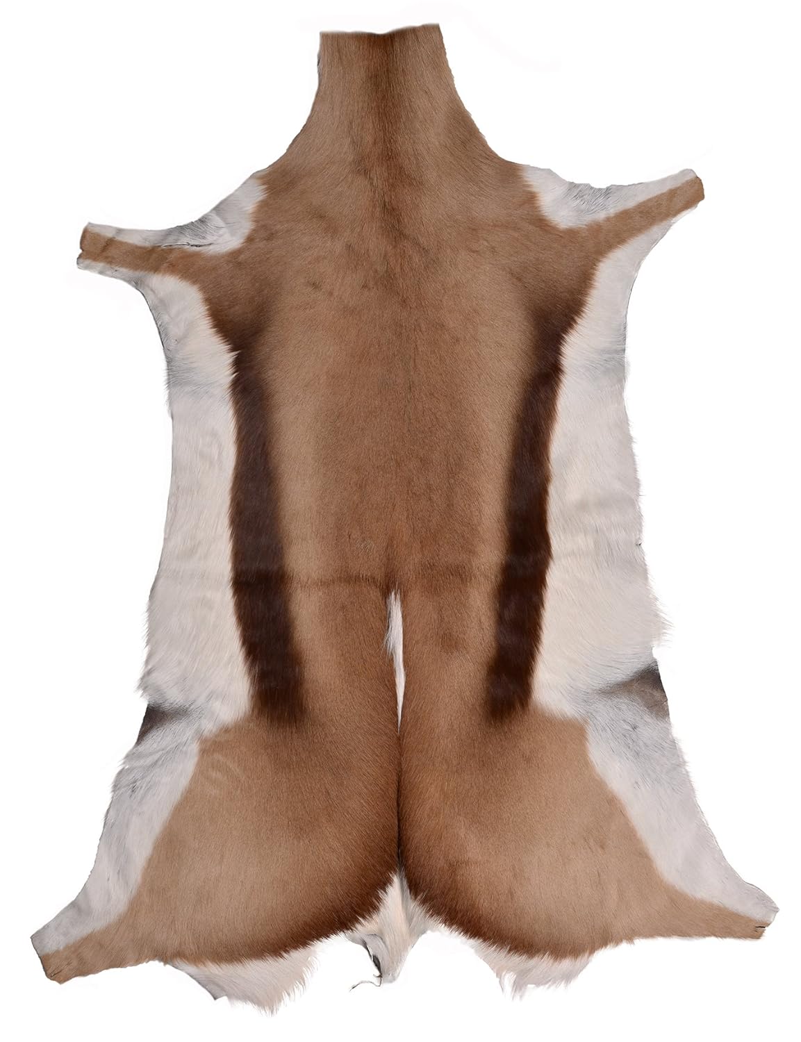Lambland Grade A Luxury Springbok Skin Rug Amazon.co.uk Kitchen & Home