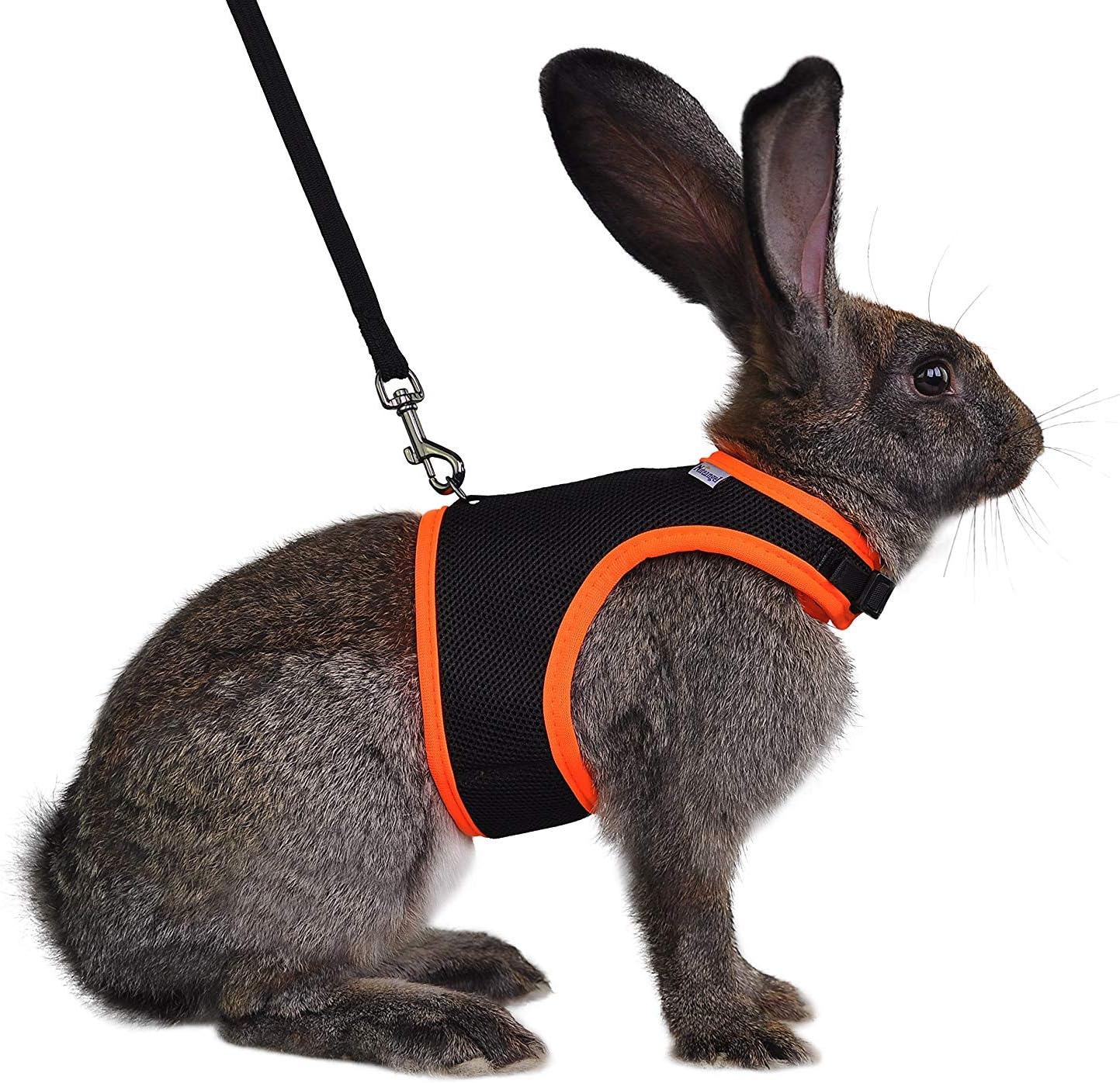 niteangel adjustable soft harness with elastic leash for rabbits