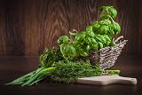 HERBAL AGE Mixed Herb Seeds Box 200+ Seeds Grow Your Own Kitchen Garden view 7
