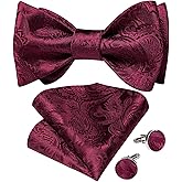 DiBanGu Men Bow Tie Paisley Striped Self-Bow Tie for Men and Silk Woven Bowtie Pocket Square Cufflinks Wedding Party