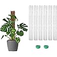 EOX 6 Pcs 24 Inch Plastic Moss Pole for Monstera, Large D Shaped Poles for Climbing Plants Work with Sphagnum Moss, 135 Inch Plant Stake Set of 6, Garden Ties