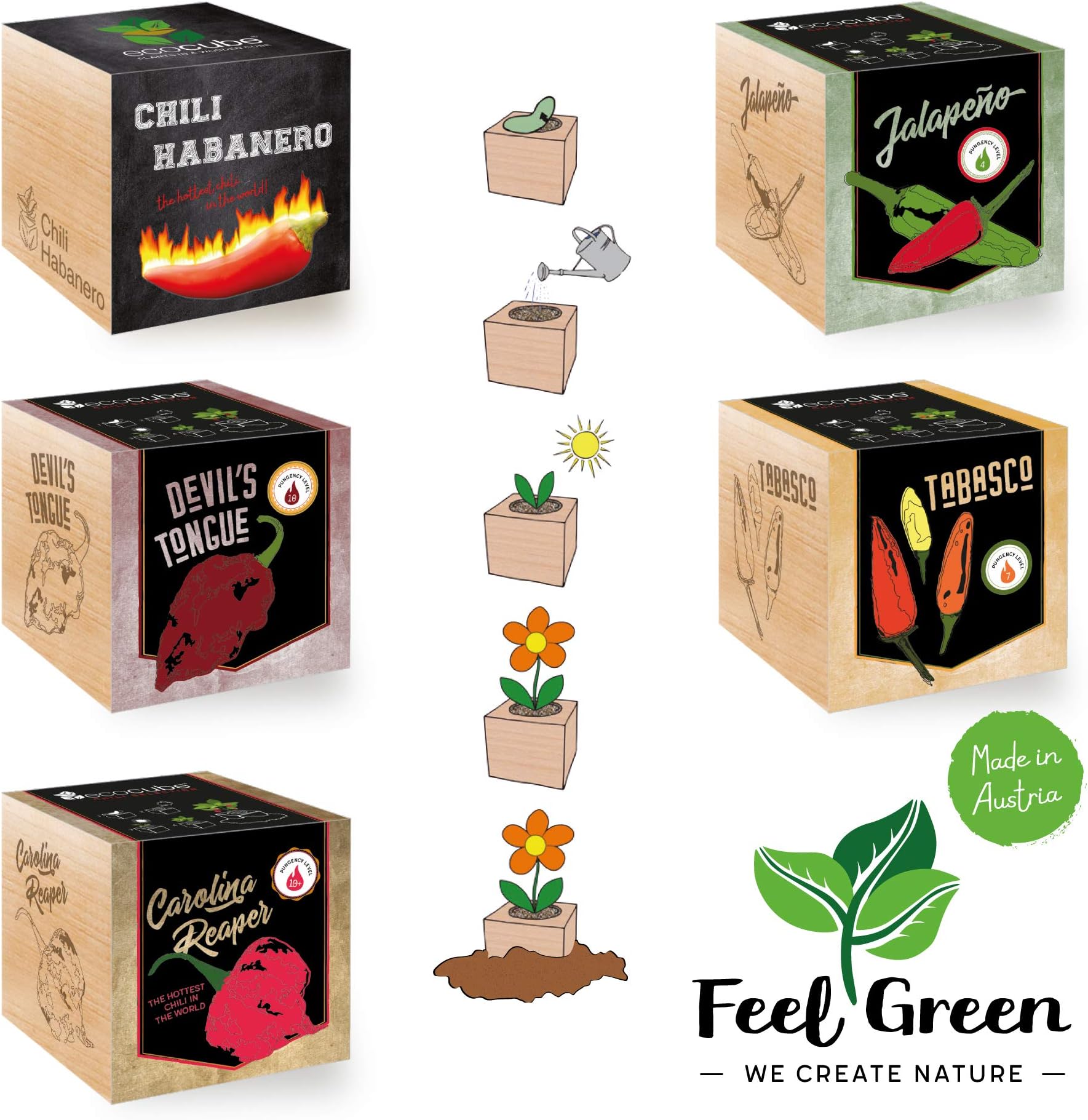 FeelGreen Feel Green Chili Ecocube Set of 5 Mix Variety Pack| Save Up to 38% | Grow Your Own Kit in A Wooden Cube| Made in Austria | Original, Sustainable & Unusual Gift