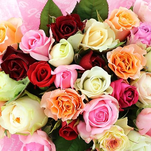 Amazon プレミアムローズ 歳の数だけバラの花束 50歳代 おまかせ50 59本 トゲ取りなし 無料ラッピング 元気いただきますプロジェクト 花束 オンライン通販