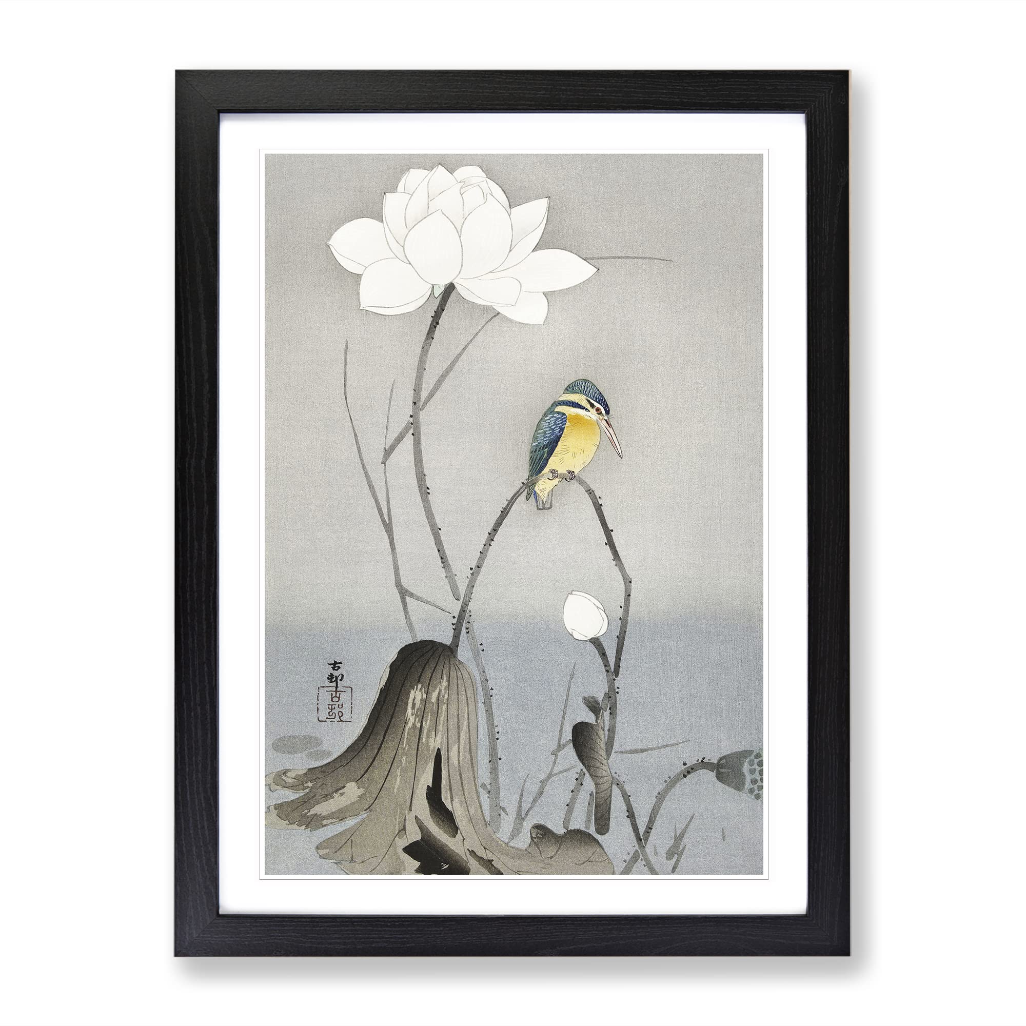 Kingfisher With Lotus Flower By Ohara Koson Asian Japanese Framed Wall Art Print, Ready to Hang Picture for Living Room Bedroom Home Office Décor, Black A4 (34 x 25 cm)