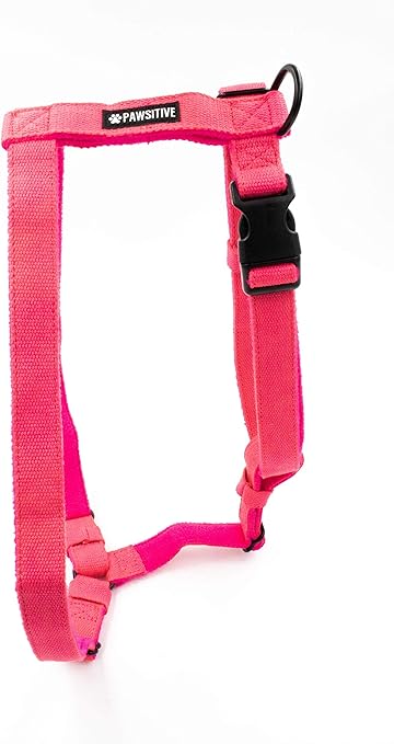 planet dog hemp harness