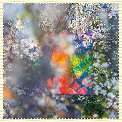 Buy Four Tet - Sixteen Oceans New or Used via Amazon