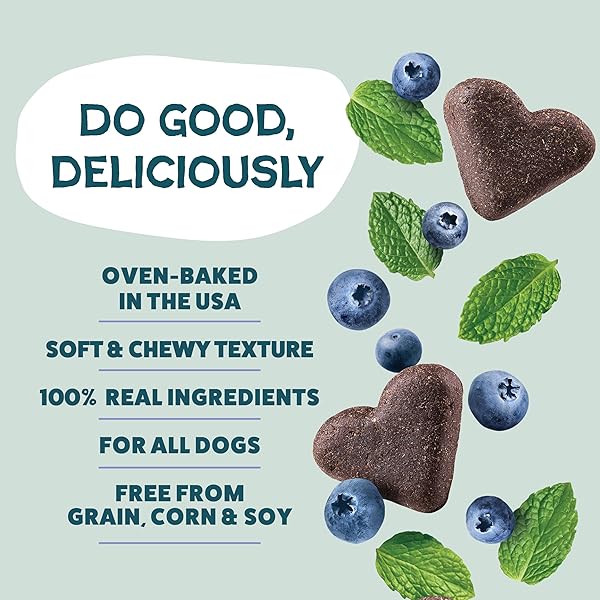 SHAMELESS PETS SOFT-BAKED DOG TREATS, BLUEBERRIED TREASURE – NATURAL & HEALTHY DOG CHEWS WITH MINT FOR IMMUNE SUPPORT – MADE IN USA, FREE FROM GRAIN, CORN & SOY – 1-PACK