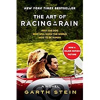 The Art of Racing in the Rain: A Novel book cover