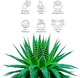 bleu & marine Bretania After Sun Gel Aloe Vera Lavender Face Body Hair 1000ml view 3