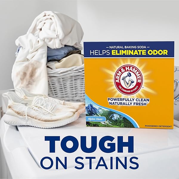 ARM & HAMMER POWDER LAUNDRY DETERGENT, ALPINE CLEAN, 9.56 LB, 155 LOADS
