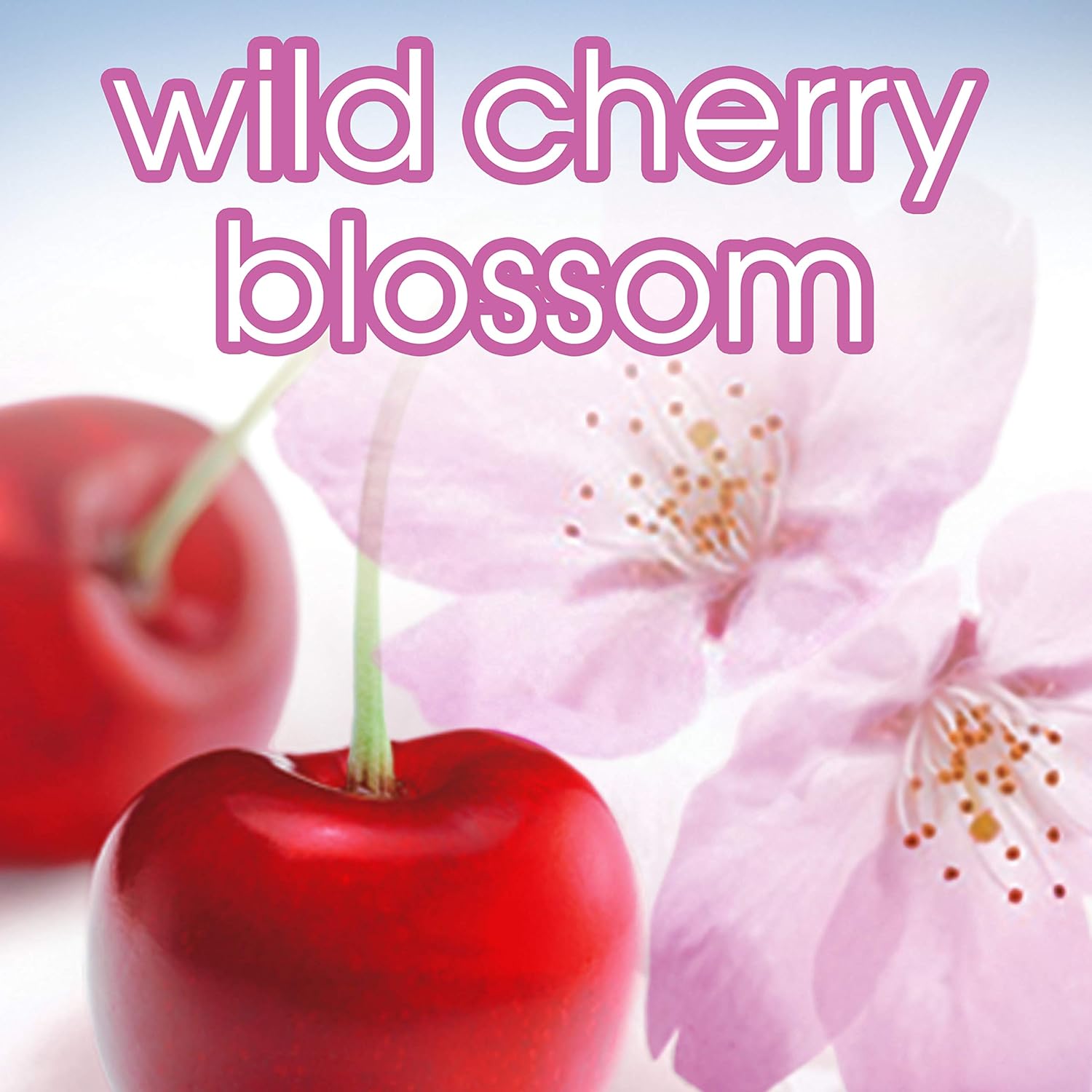 Suave Antiperspirant Deodorant, Wild Cherry Blossom 2.6 oz, Twin Pack : Antiperspirant Deodorants : Beauty