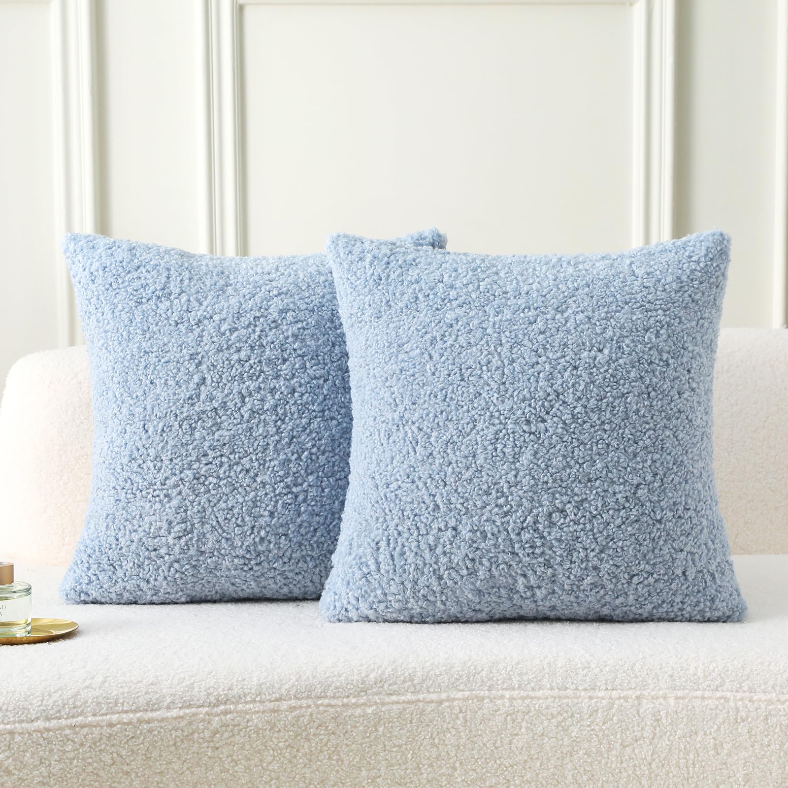 Photo 1 of FUTEI Light Blue Throw Pillow Covers 22x22 Inch Set of 2,Furry Faux Fur Teddy Boucle Textured Cushion Covers,Soft Fluffy Decorative Pillow Case,Home Decor for Couch Bed Living Room Office Car