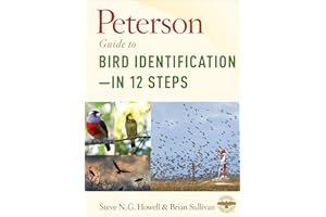Peterson Guide to Bird Identification—in 12 Steps (Peterson Field Guides)