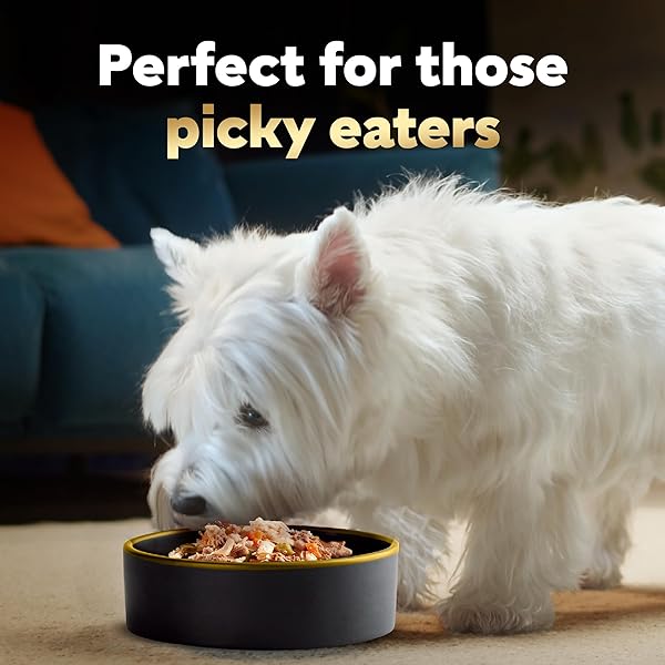 CESAR SIMPLY CRAFTED ADULT WET DOG FOOD MEAL TOPPER, CHICKEN, DUCK, PURPLE POTATOES, PUMPKIN, GREEN BEANS & BROWN RICE AND CHICKEN, CARROTS, BARLEY & SPINACH MULTIPACK, 1.3OZ (8 COUNT, PACK OF 1)