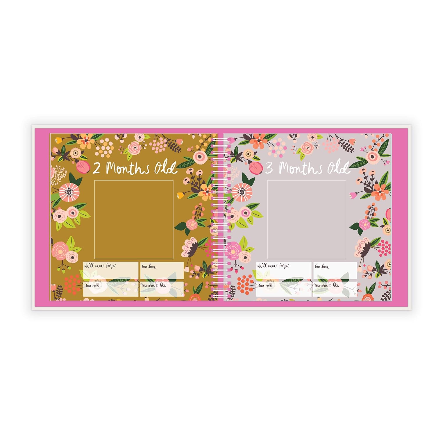 Lucy Darling Baby's First Year Memory Book: A Simple Book of Firsts - Little Artist Baby Journal - Baby Album : Baby