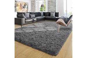 Ompaa Fluffy Area Rugs, Super Soft Shaggy Carpet Fuzzy Long Fur Rug for Bedroom Living Room Dorm, Plush Kids Playroom Baby Girls Nursery Decor Mats, 6x9 Feet Dark Gray