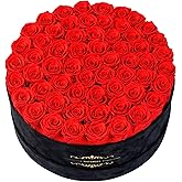 Gifts for Women – NATROSES 60 Preserved Roses in Luxury Black Velvet Box, Preserved Flowers for Delivery Gift for Her, Elegant Rose for Birthday, Mother’s Day, Christmas (Red)