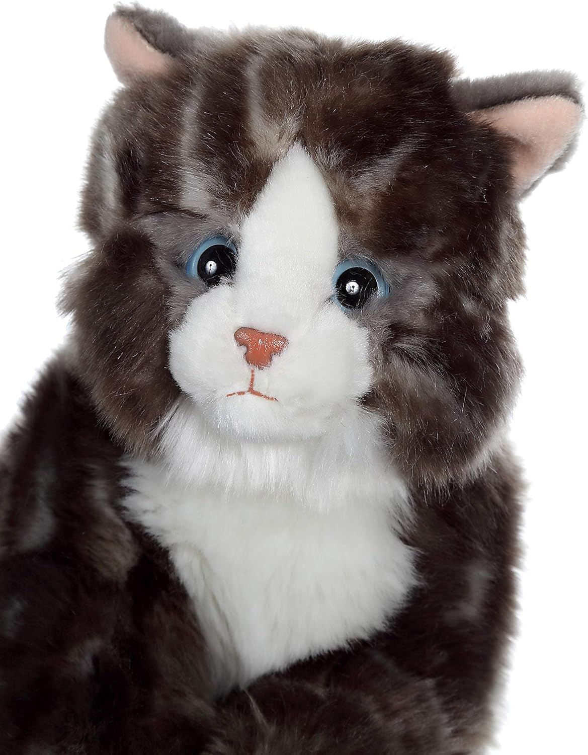 Peluche Chat Gipsy Free Delivery Www Wearpumps Com