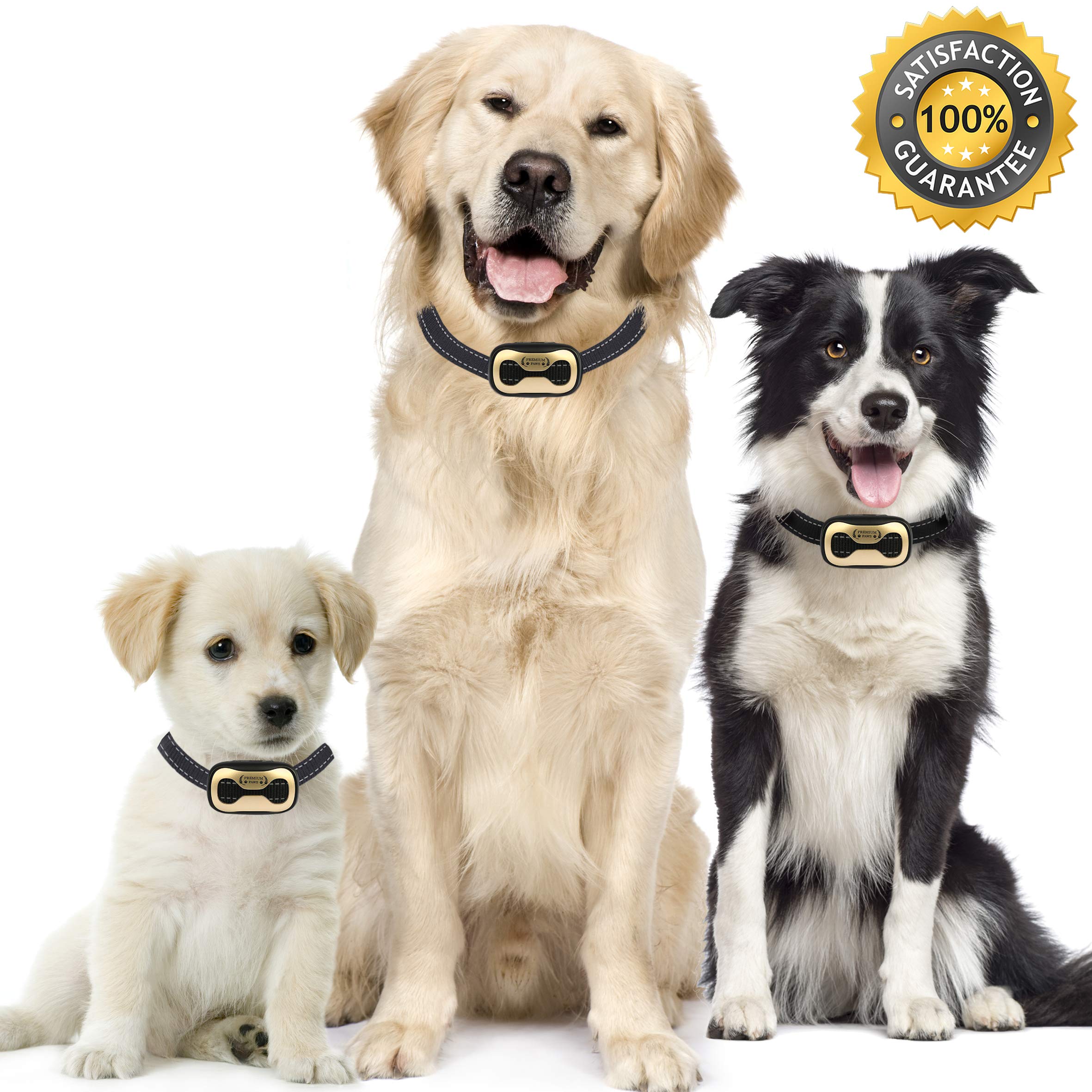 dynavet spray collar