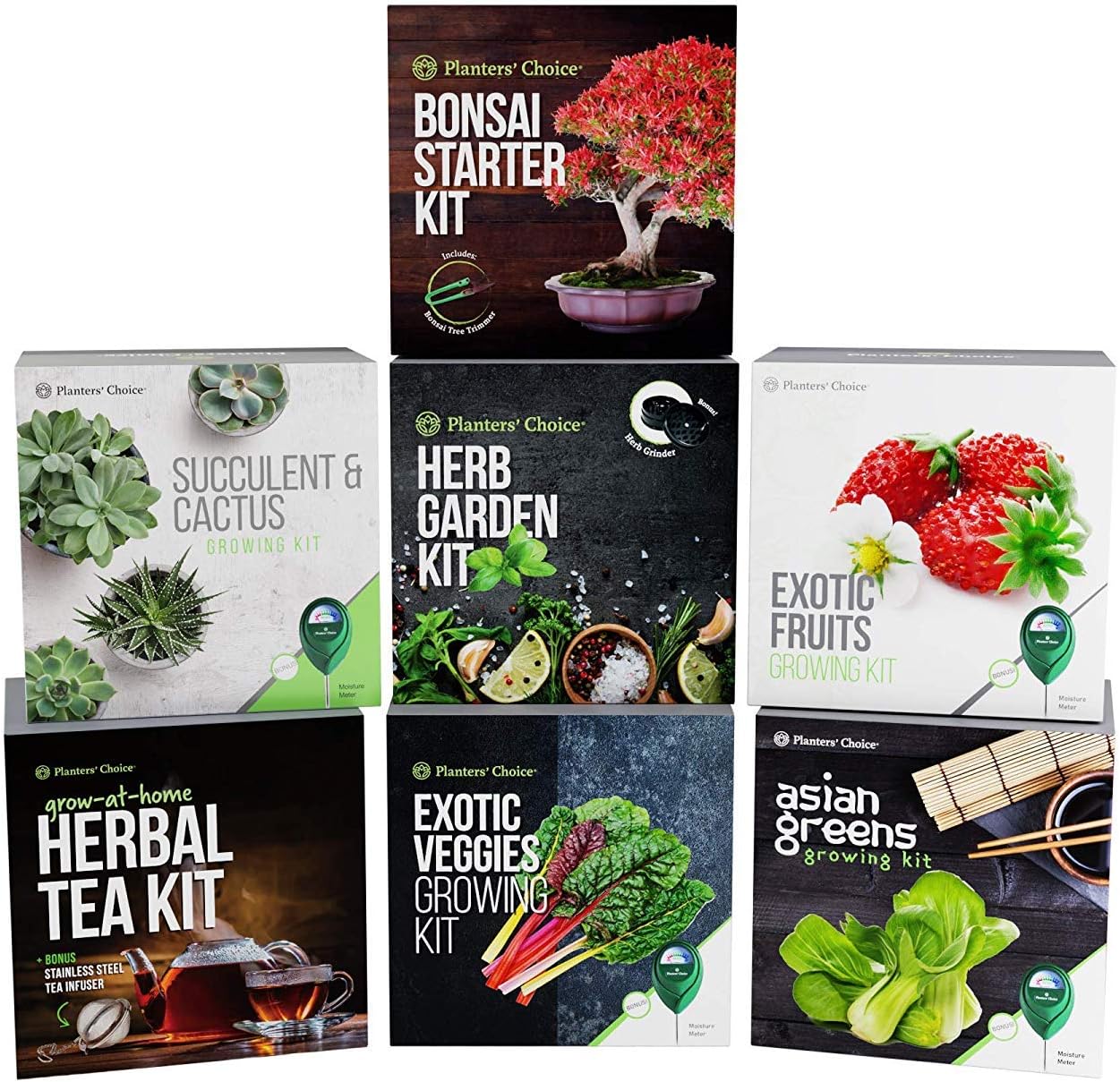 Kit de Cultivo de Frutas Exóticas: Todo Incluido para Cultivar ...