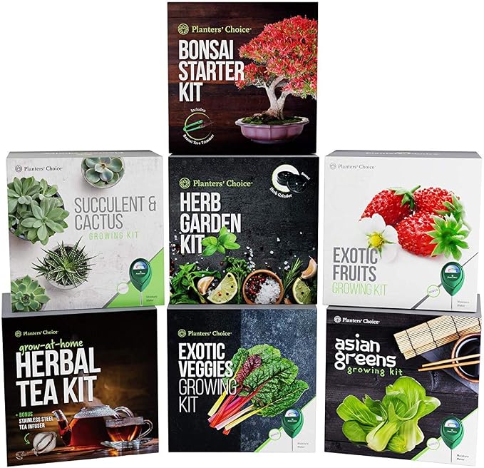 Kit de Cultivo de Frutas Exóticas: Todo Incluido para Cultivar ...