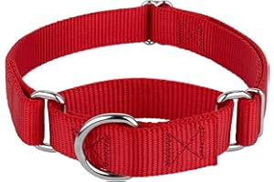 COUNTRY BROOK DESIGN Country Brook Petz - Martingale Dog Collar - Heavy-Duty Training Collar with No Buckle - Service Dog Collar for All Pups - 10+ Warm Colors (Red, 1 Inch, Medium)