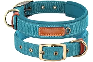 Soft Nylon Dog Collar with Buckle, Adjustable Padded Pet Collar with D-Ring for Small Medium Large Dogs,Blue,M