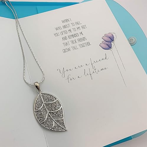 Smiling Wisdom Friendship A Reason Season Lifetime Friend