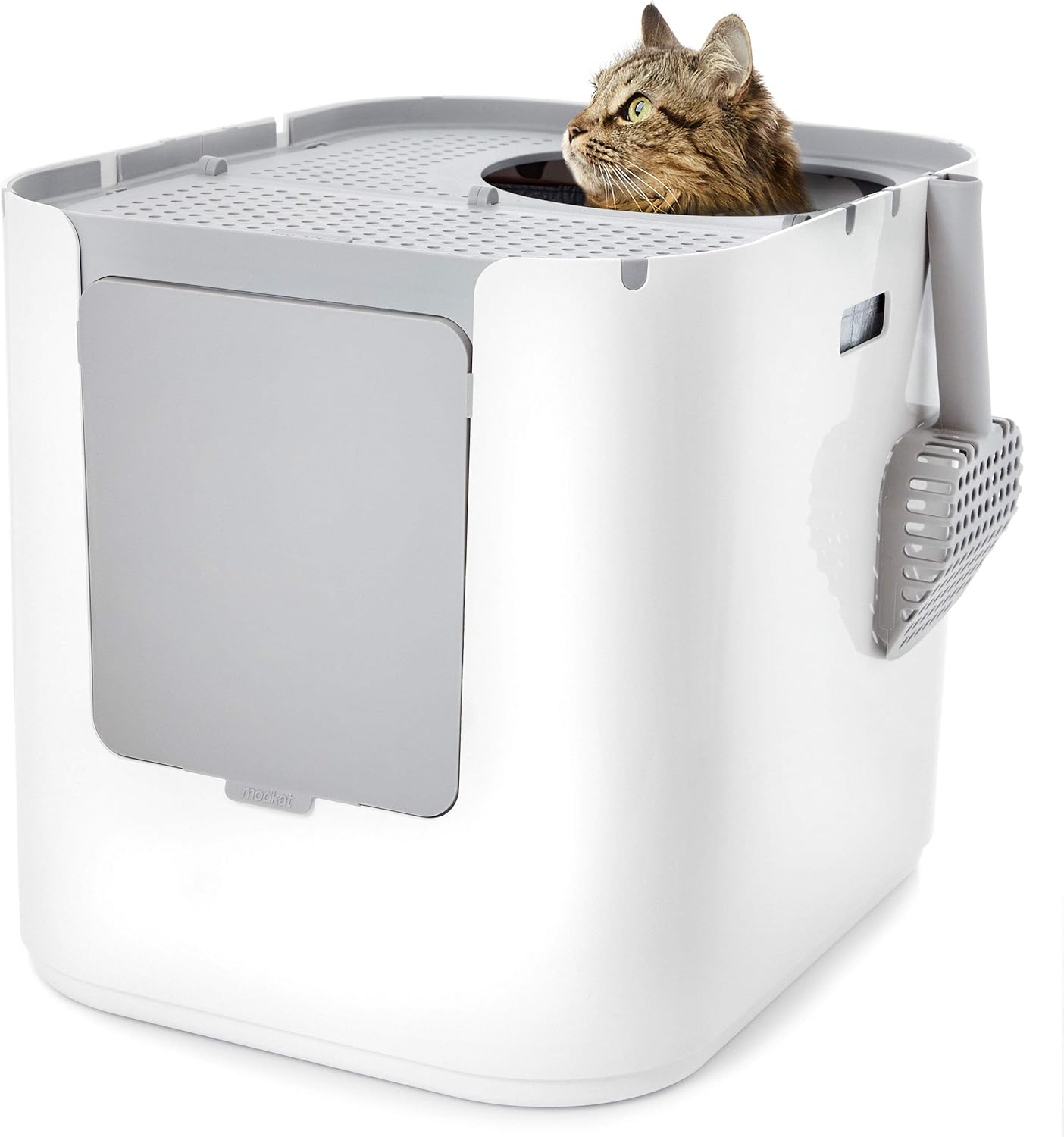 modkat litter box amazon