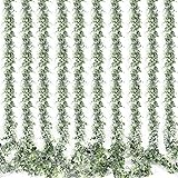 Whonline 10 Packs Eucalyptus Garlands 57ft