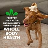 Greenies Original Large Dog Natural Dental Treats 18 oz 12 Count view 7