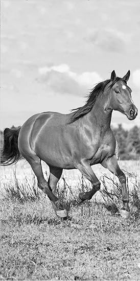 Horse Riding Serviette De Plage 70 X 140 Cm Noirblanc