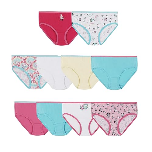 Bragas Entrenamiento Niñas Hanes - Pack 6 Unidades Aprendizaje Orinal 2/3 Años