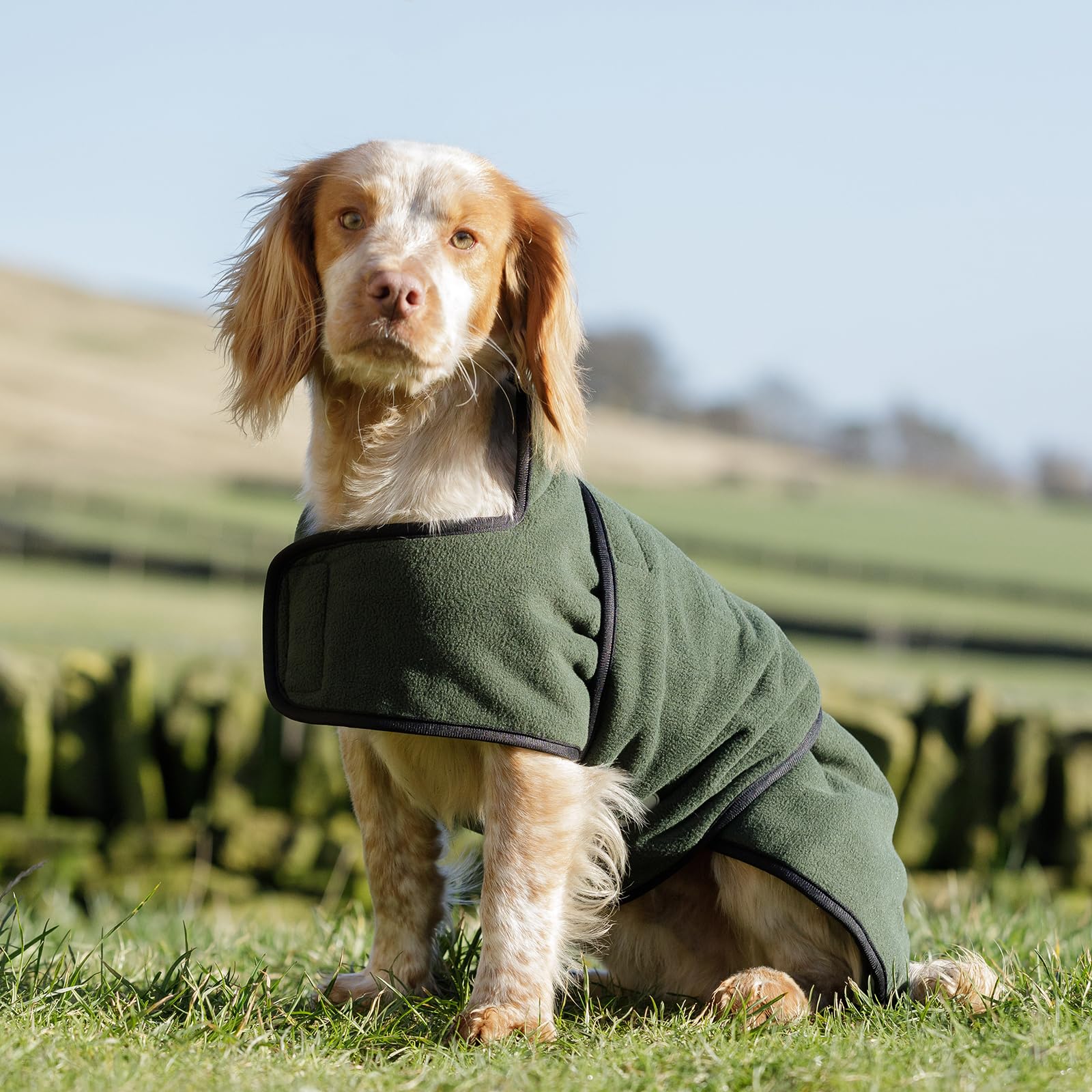 Dog & Field Duel Layer Towelling Coat, S, Olive Green