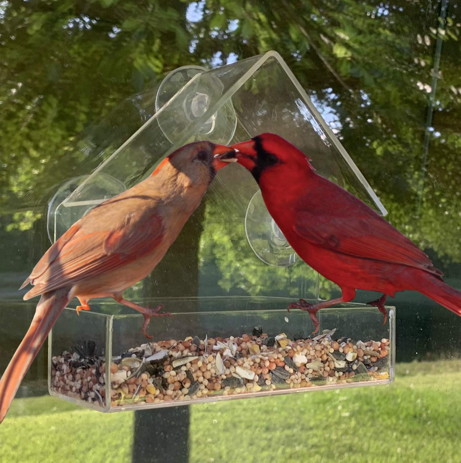 Amazon Com Prepared4x Window Bird Feeders For Outside With