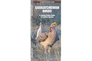 Saskatchewan Birds