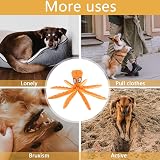 RAYITO Octopus Dog Toy No Stuffing Squeaky Crinkle for Small Medium Dogs Orange view 5