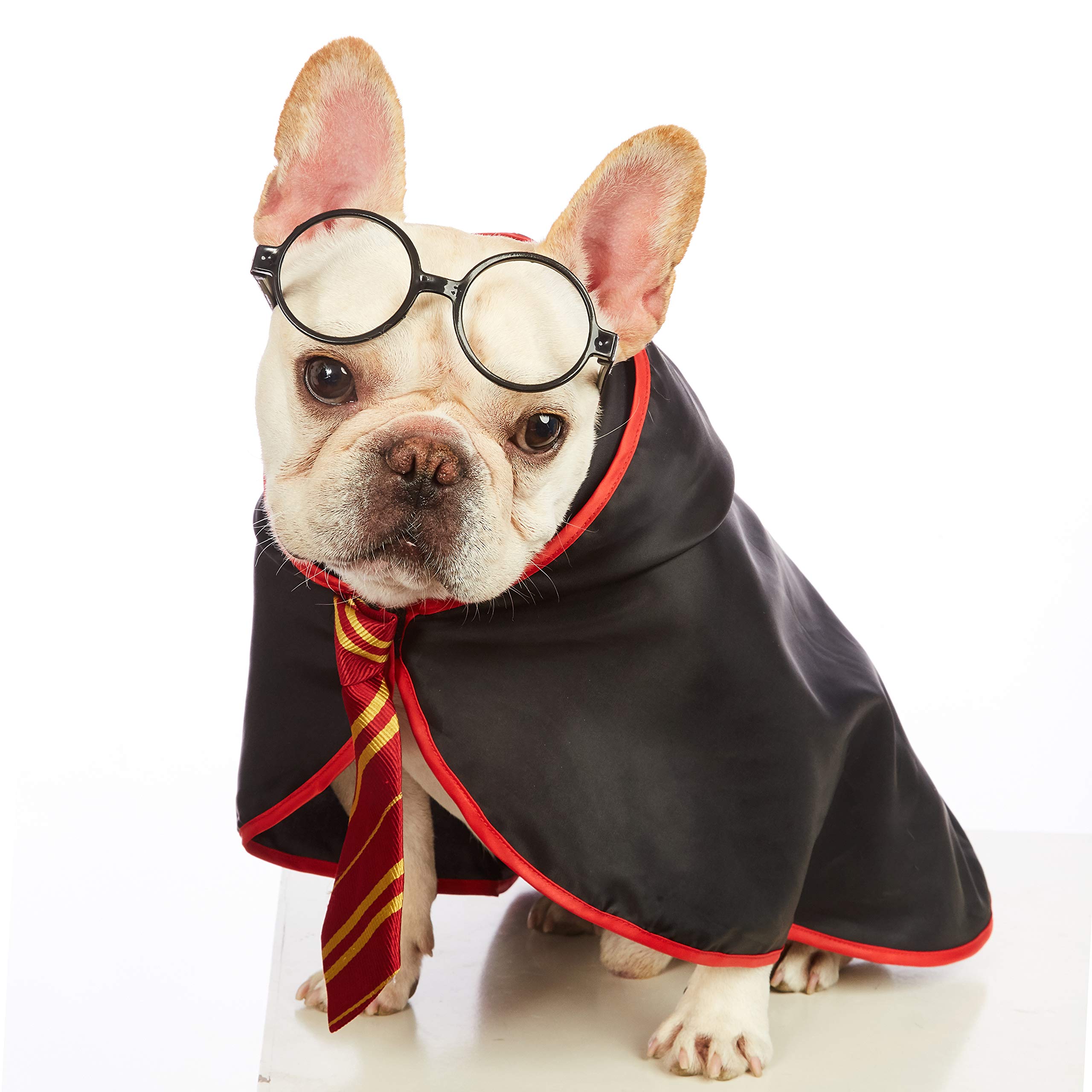 Impoosy Pet Halloween Dog Hoodies Funny Cat Wizard Costume Cute Apparel Soft Shirts Clothes with Glasses (Small,Neck:12")