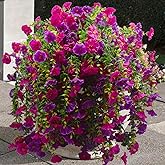 Vopie 2 Pcs Look Real Artificial Flowers for Outdoors Artificial Hanging Flowers for Outdoors, UV Resistant Fake Hanging Plants Silk Petunia Faux Flowers for Porch Yard Spring Decor (Purple+Fuchsia)