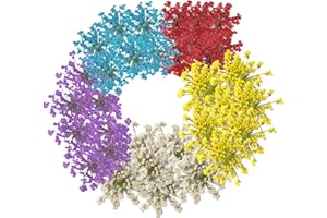 TOPFUNNY 60 Pcs Dried Pressed Flowers for Resin DIY Art Crafts Natural Dry Floral Epoxy Jewelry Real Lace Flower Decor Cakes Phone Cases Candles Handmade Soap Mix Lace Flower