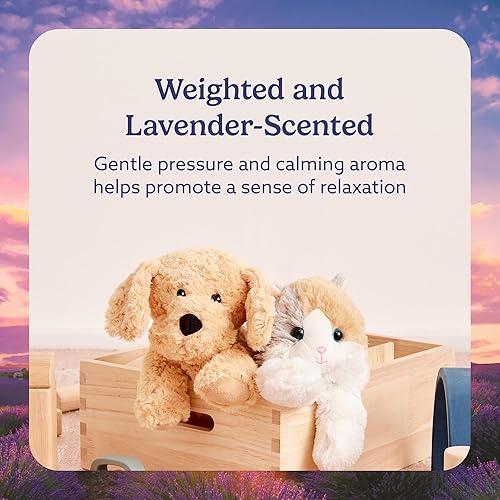 thumbnail image 2 of Warmies Microwavable Stuffed Bear - Weighted Heatable Plush For Comfort & Warmth 2 of 13