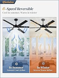 Fanbulous 60 Inch Ceiling Fans with Lights and