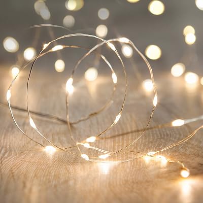 Lights4fun Indoor Fairy Lights 1m 20 LED Warm White Battery