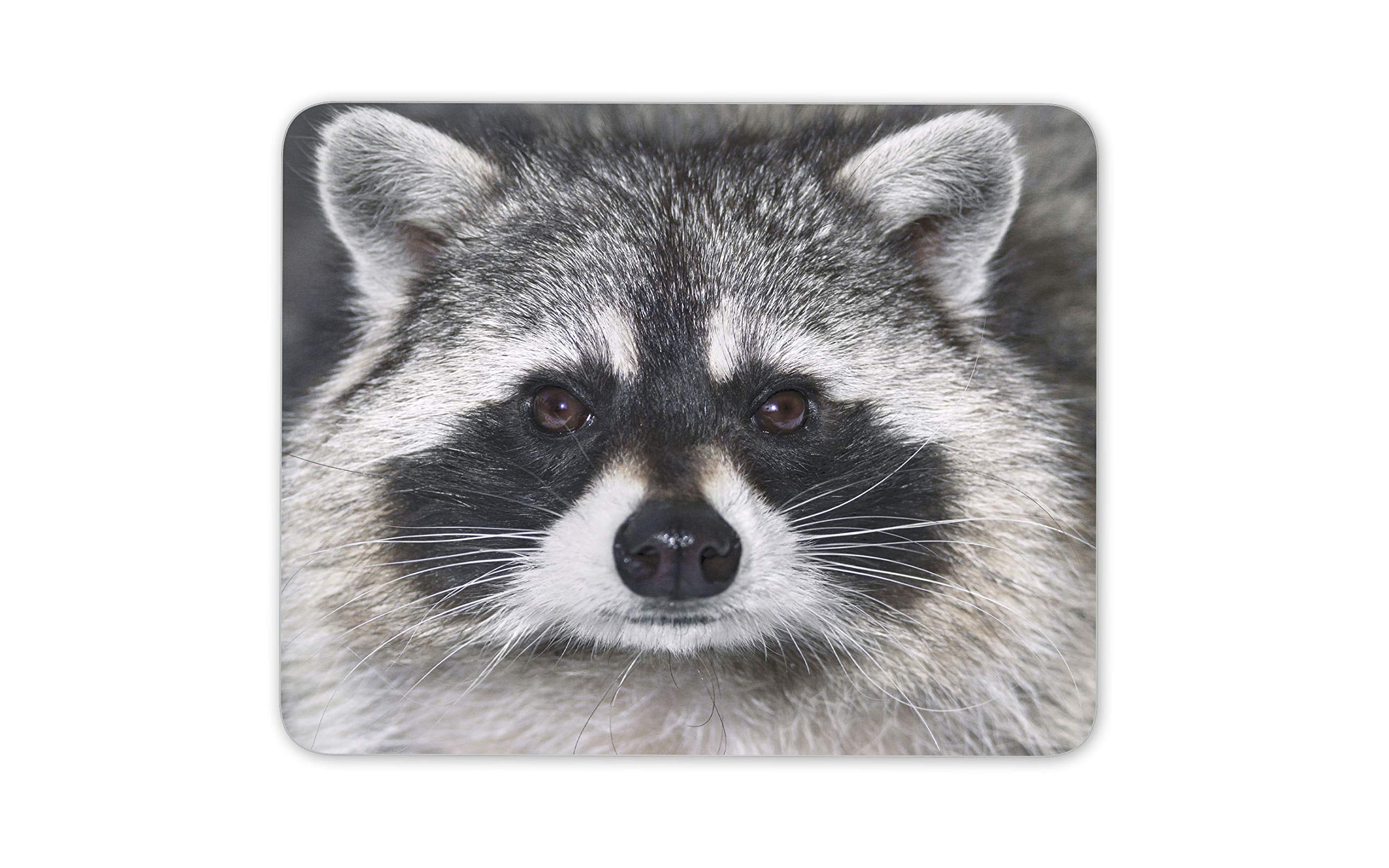 Destination Vinyl Ltd Cute Raccoon Mouse Mat Pad - Wild Animal Racoon American Computer #14190