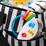 Baby Einstein Tiny Tambourine Musical Toy and Rattle Brand New view 4