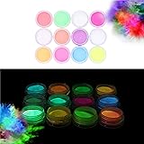 Glow in the Dark Powder –(Pack of 24) Luminous