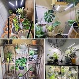 wolezek Grow Light 2-Pack Full Spectrum LED 6000K Clip-on with Timer 5-Level view 7