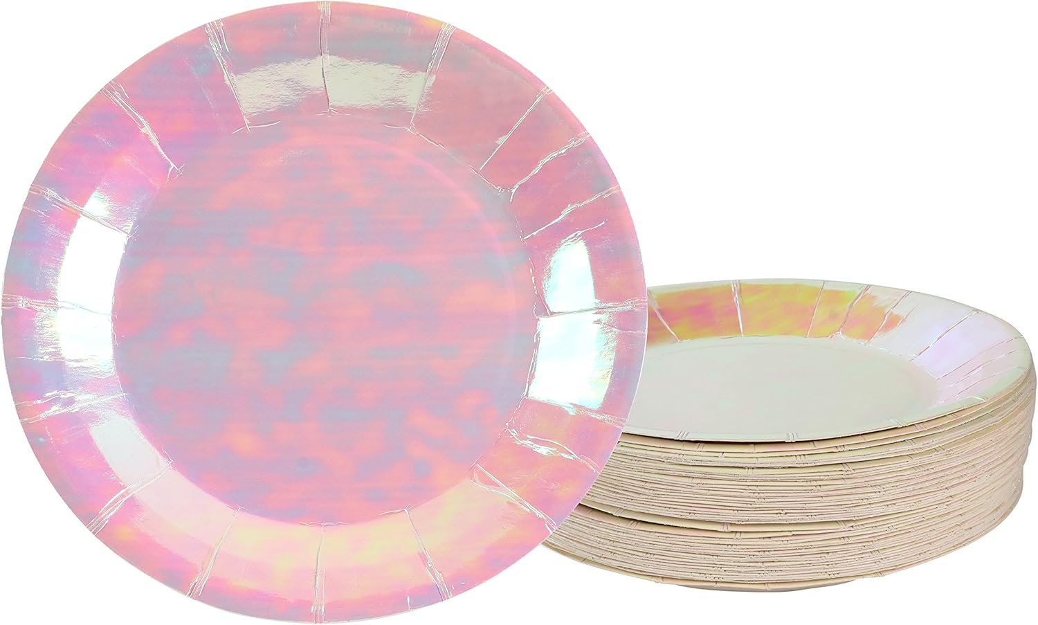 Disposable Plates 48Pack Paper Plates Party Supplies for Appetizer, Lunch, Dinner