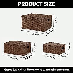 GRANNY SAYS Wicker Baskets with Lids, Set of 3