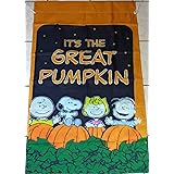 Amazon Com Spring Peanuts Welcome House Flag 28 X 40 Charlie Brown Snoopy Lucy Garden Outdoor